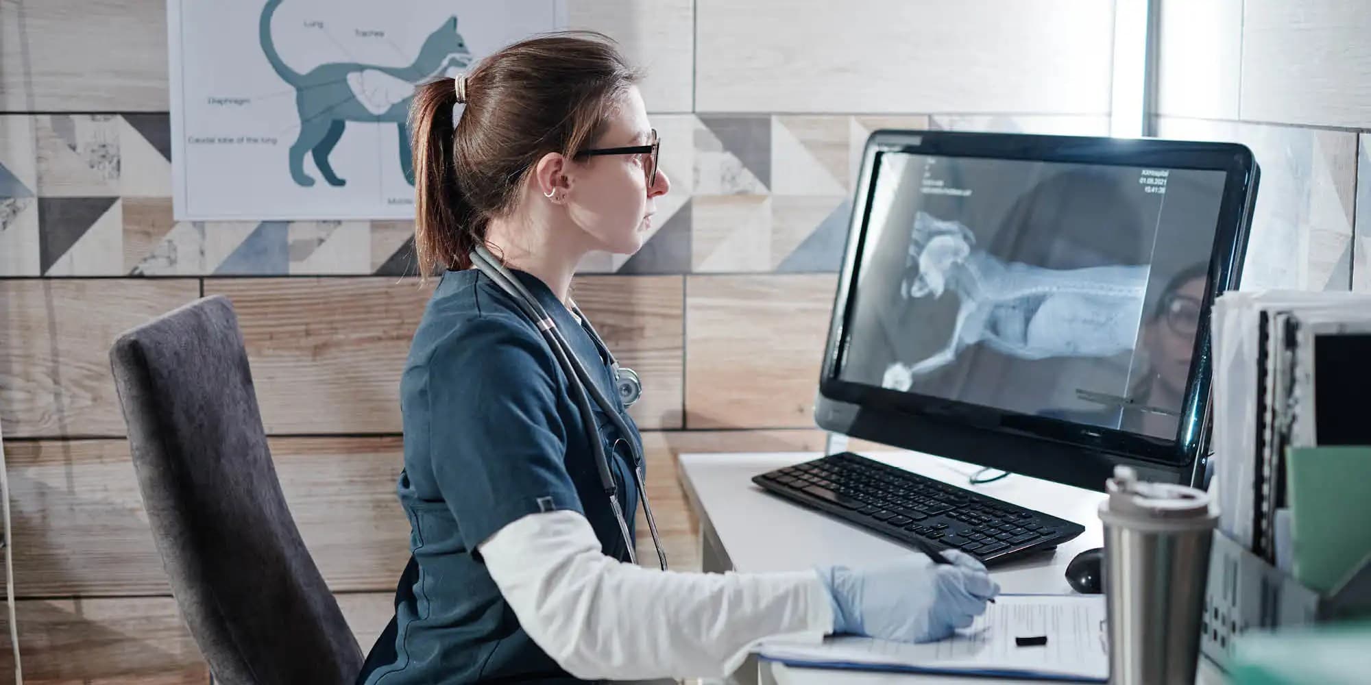 Veterinarian specialist looking at a xtray scan on a screen
