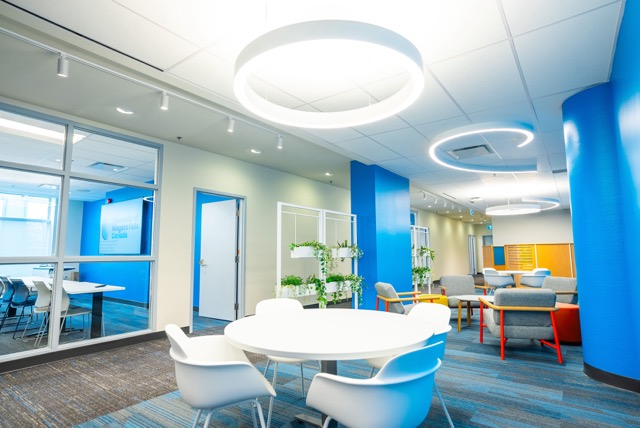 Blue-walled office space featuring white chairs for a modern look.